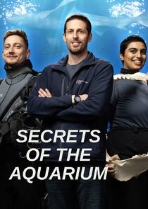 Secrets of the Aquarium Ne Zaman?'