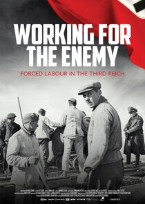 Working for the Enemy: Forced Labour in the Third Reich Ne Zaman?'