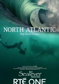 North Atlantic: The Dark Ocean Ne Zaman?'
