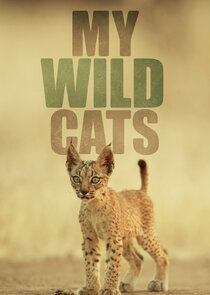 My Wild Cats Ne Zaman?'
