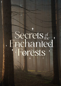 Secrets of the Enchanted Forests Ne Zaman?'