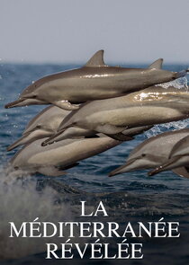 La Méditerranée révélée Ne Zaman?'