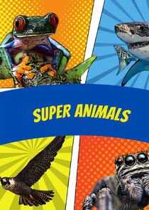 Super Animals Ne Zaman?'