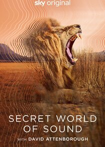 Secret World of Sound with David Attenborough Ne Zaman?'