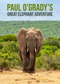 Paul O'Grady's Great Elephant Adventure Ne Zaman?'