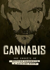 Cannabis : la série documentaire Ne Zaman?'