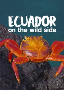 Ecuador: On the Wild Side Ne Zaman?'