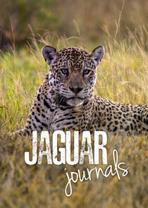 Jaguar Journals Ne Zaman?'