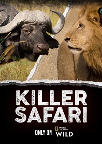 Killer Safari Ne Zaman?'