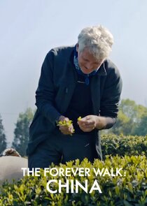 The Forever Walk: China Ne Zaman?'
