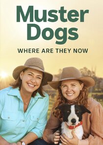 Muster Dogs: Where Are They Now? Ne Zaman?'