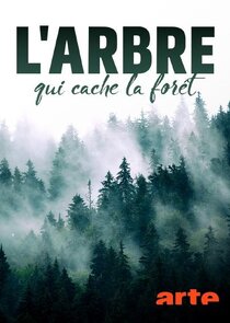 L'arbre qui cache la forêt Ne Zaman?'