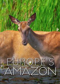 Europe's Amazon Ne Zaman?'