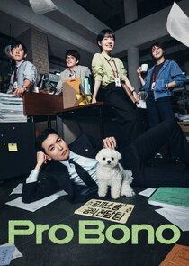 Pro Bono Ne Zaman?'