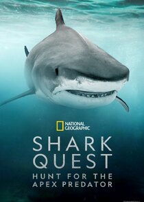 Shark Quest: Hunt For The Apex Predator Ne Zaman?'