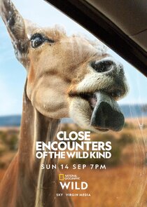 Close Encounters of the Wild Kind Ne Zaman?'