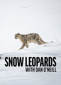Snow Leopards with Dan O'Neill 1.Sezon Ne Zaman?