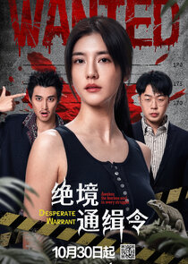 Desperate Warrant Ne Zaman?'