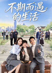 Life Optimal Solution Ne Zaman?'