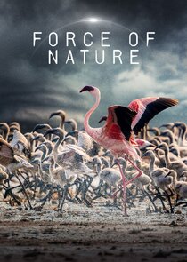 Force of Nature Ne Zaman?'