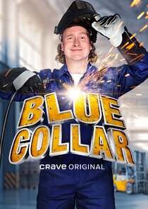 Blue Collar Ne Zaman?'