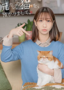 Moto Kare no Neko wo, Azukarimashite. Ne Zaman?'