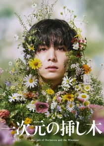 Labyrinth of Hortensia and the Minotaur Ne Zaman?'