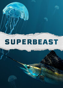Superbeast Ne Zaman?'