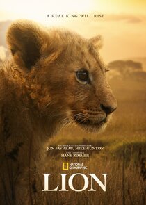 LION Ne Zaman?'