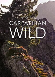Into the Carpathian Wild Ne Zaman?'