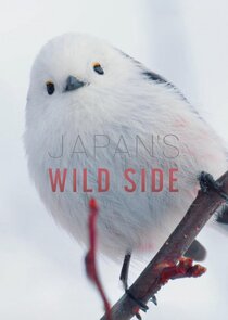 Japan's Wild Side Ne Zaman?'