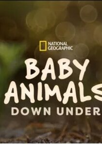 Baby Animals Down Under Ne Zaman?'