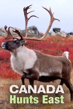 Canada Hunts East ne zaman
