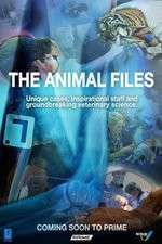 The Animal Files ne zaman