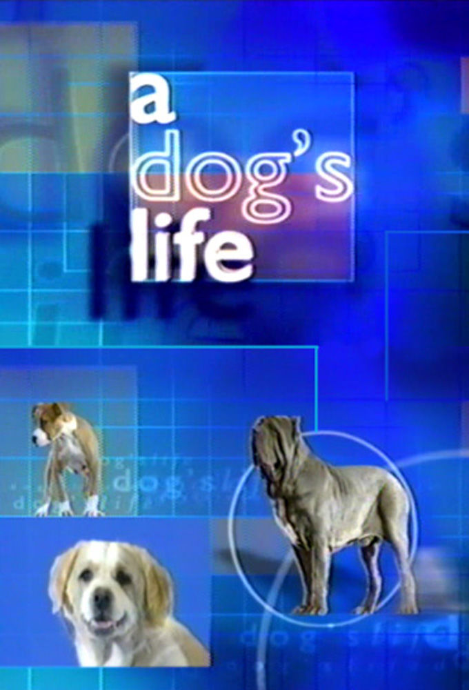 A Dog's Life ne zaman