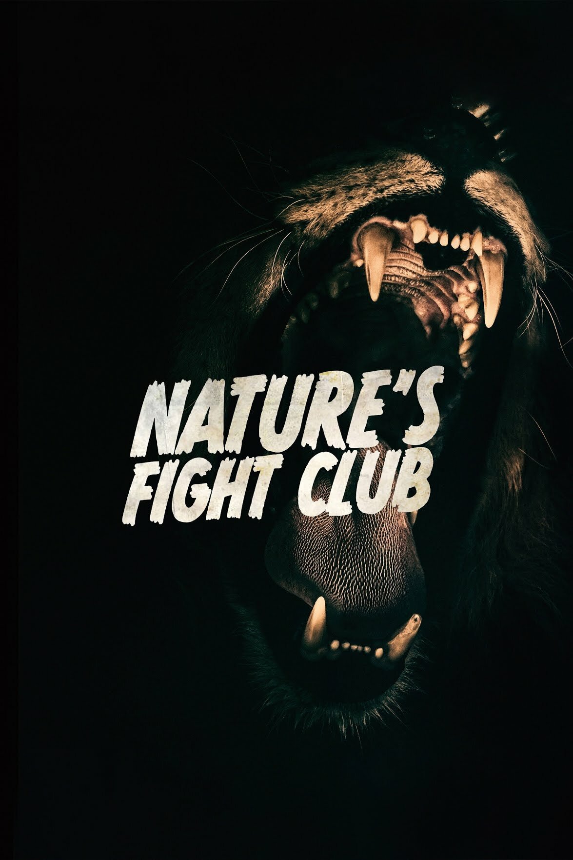 Nature's Fight Club ne zaman