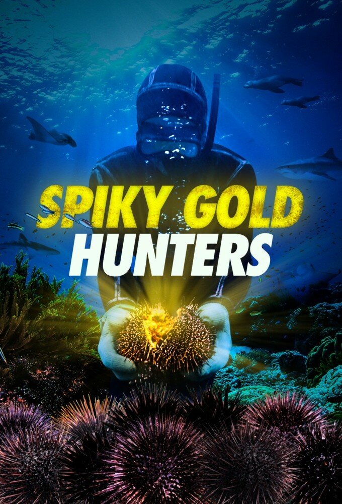 Spiky Gold Hunters ne zaman