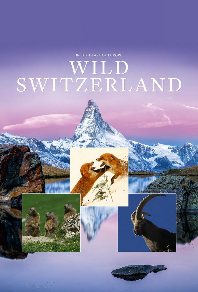 Wild Switzerland ne zaman