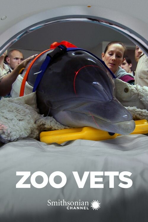 Zoo Vets ne zaman