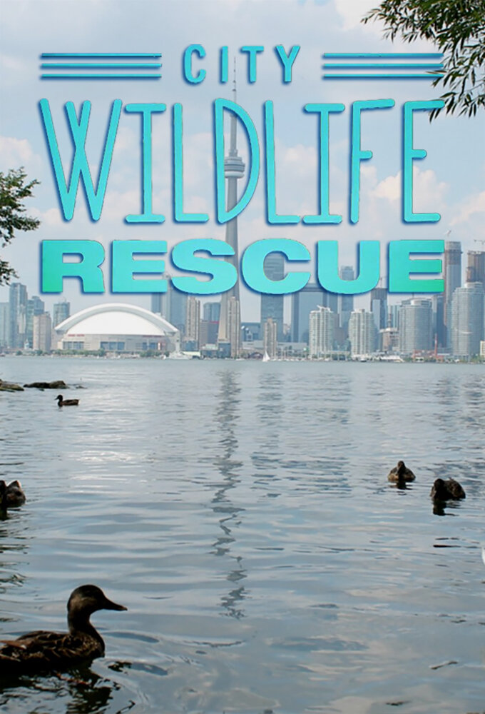 City Wildlife Rescue ne zaman