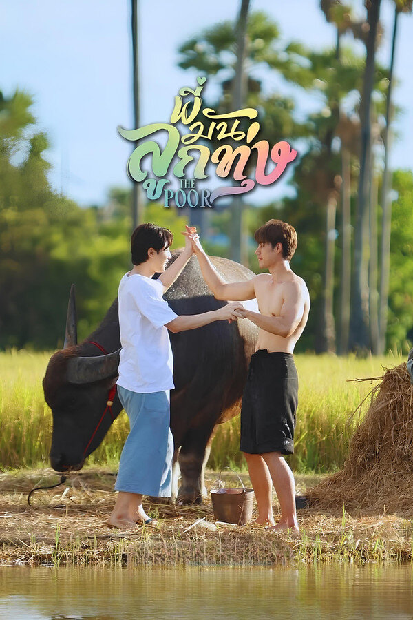 Love Harvest ne zaman