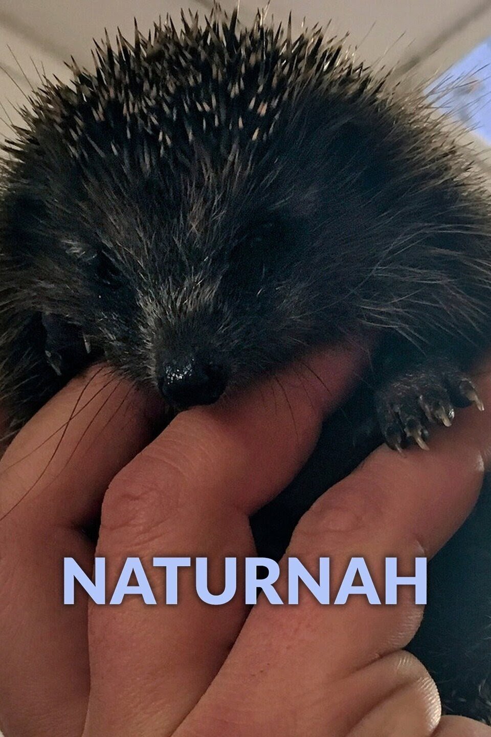 NaturNah ne zaman