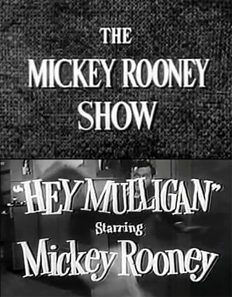 The Mickey Rooney Show ne zaman