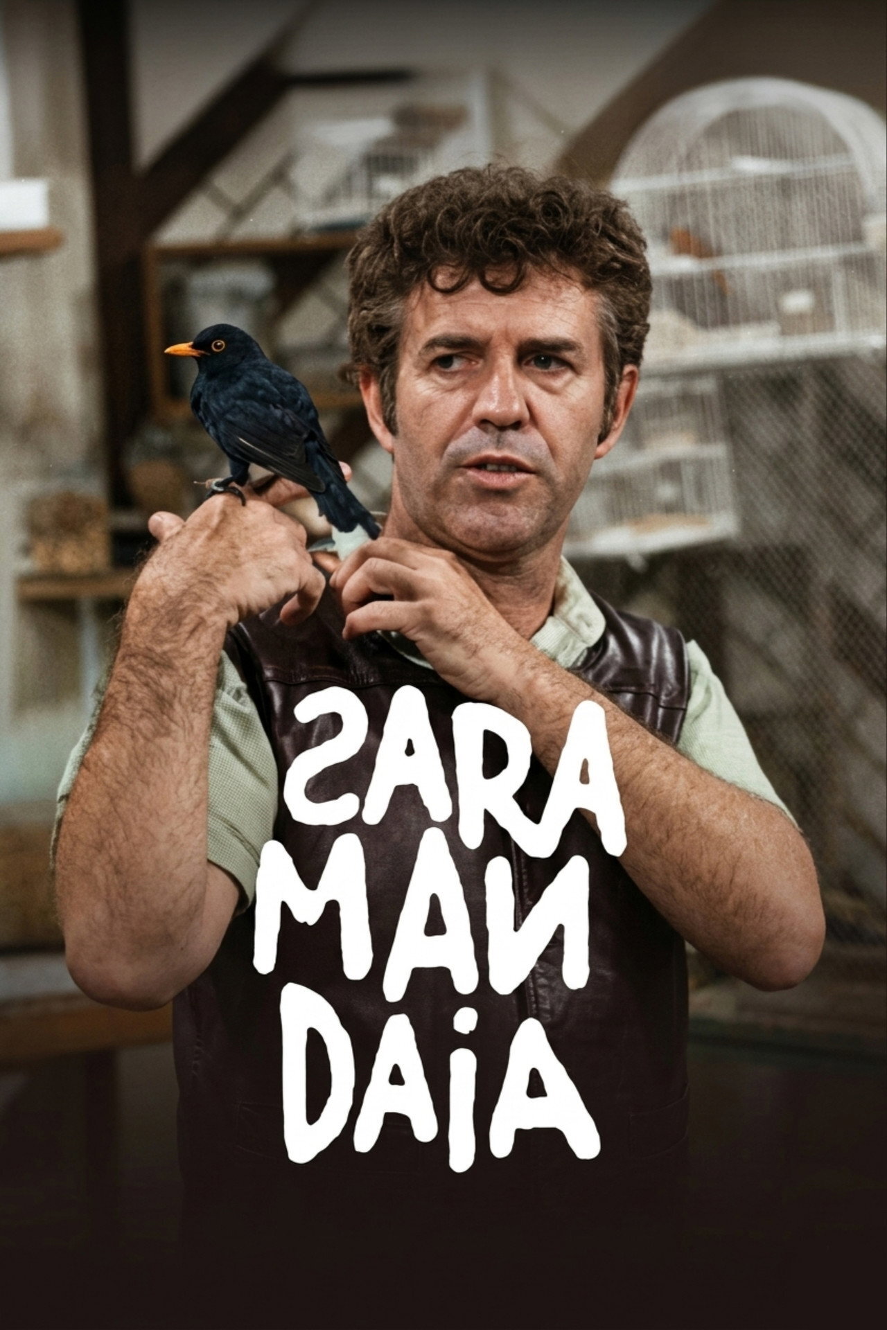 Saramandaia ne zaman