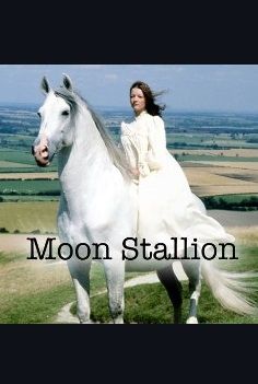 The Moon Stallion ne zaman