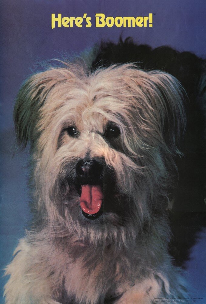 Here's Boomer ne zaman