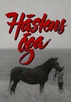 Hästens öga ne zaman