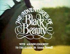 The New Adventures of Black Beauty ne zaman