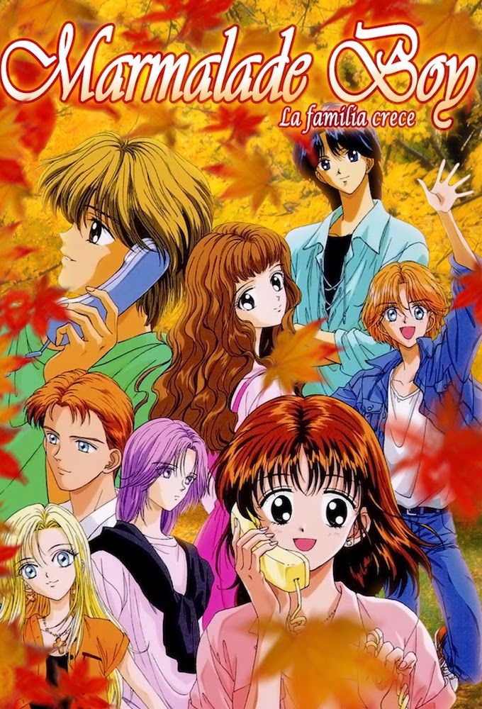 Marmalade Boy ne zaman