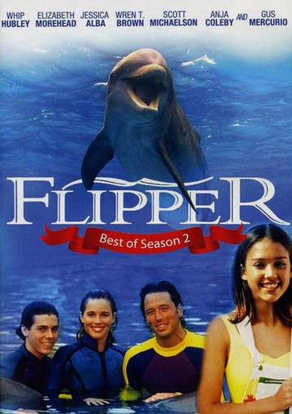Flipper ne zaman